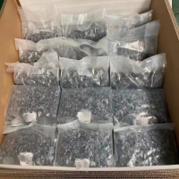 Datalogic得利捷讀碼器自動化數據采集，助力企業輕松解碼